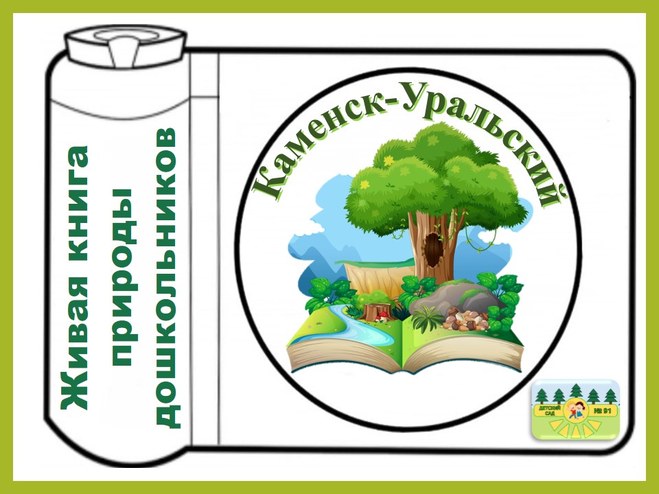 Презентация1