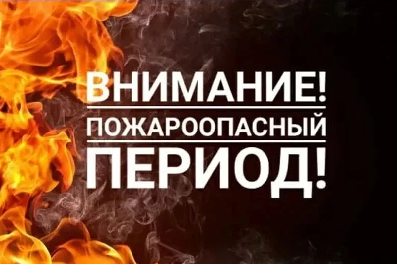 IMG 20260402 211406 565