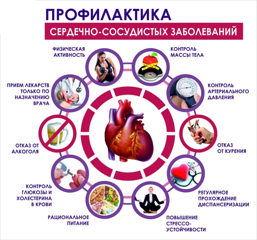 Серд сосуд
