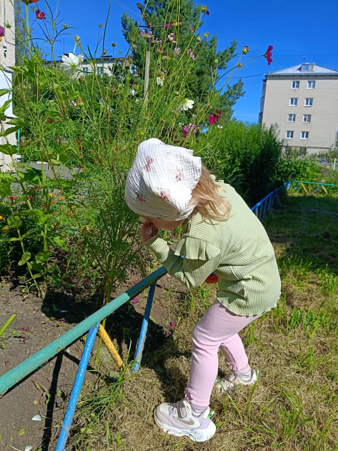 IMG 20260806 180931 193