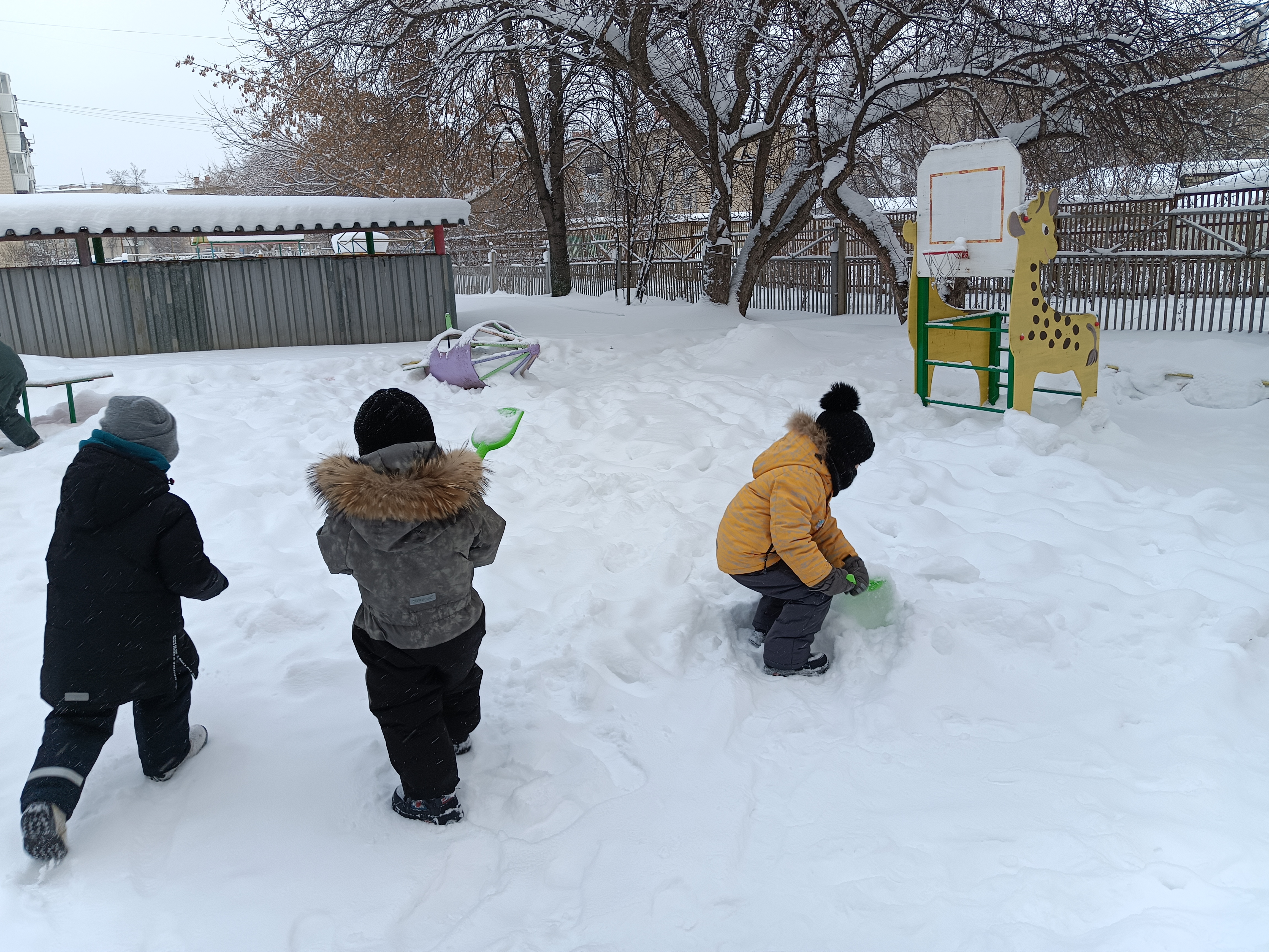 IMG 20260120 111642 148