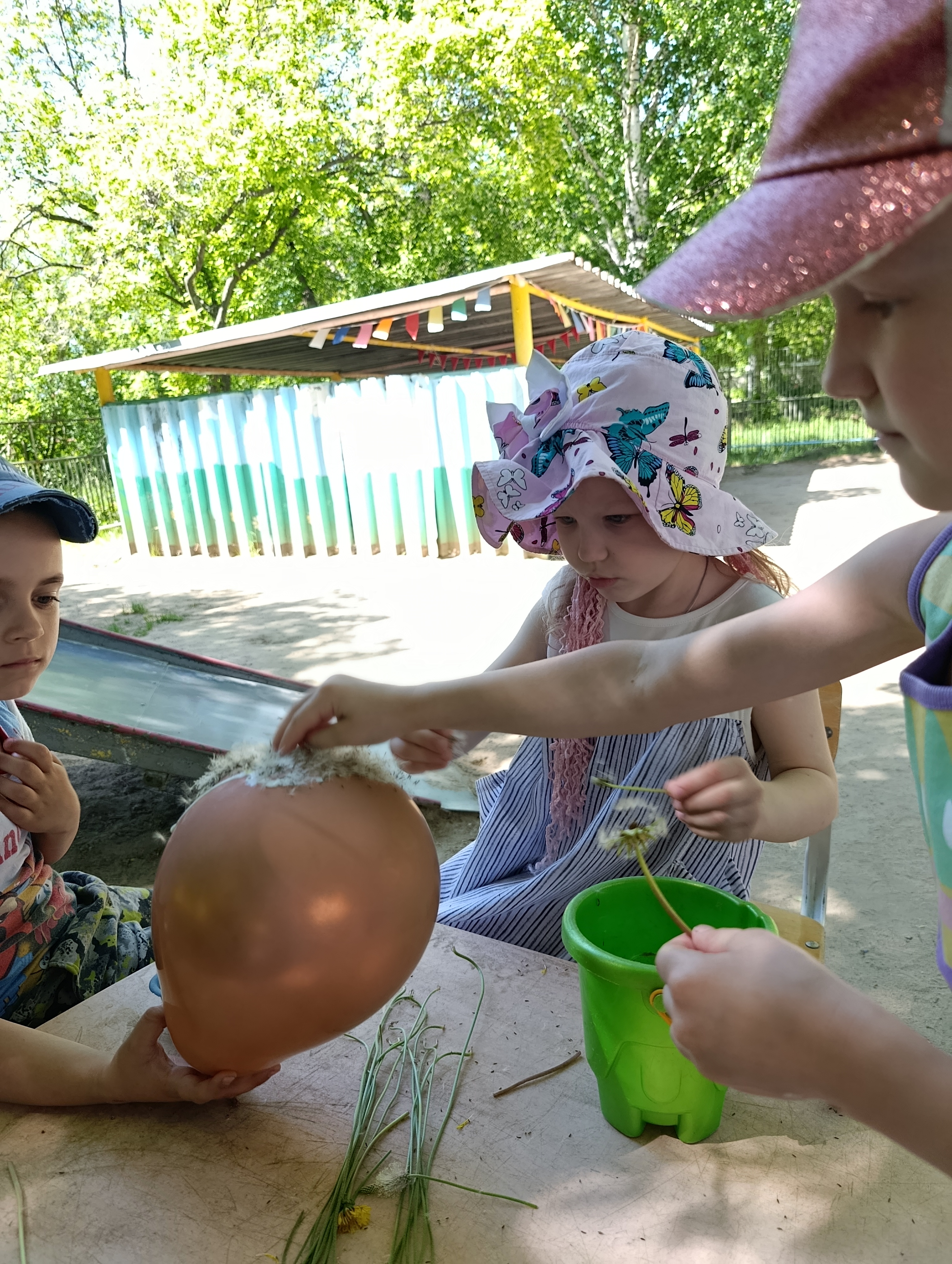 IMG 20260527 112419